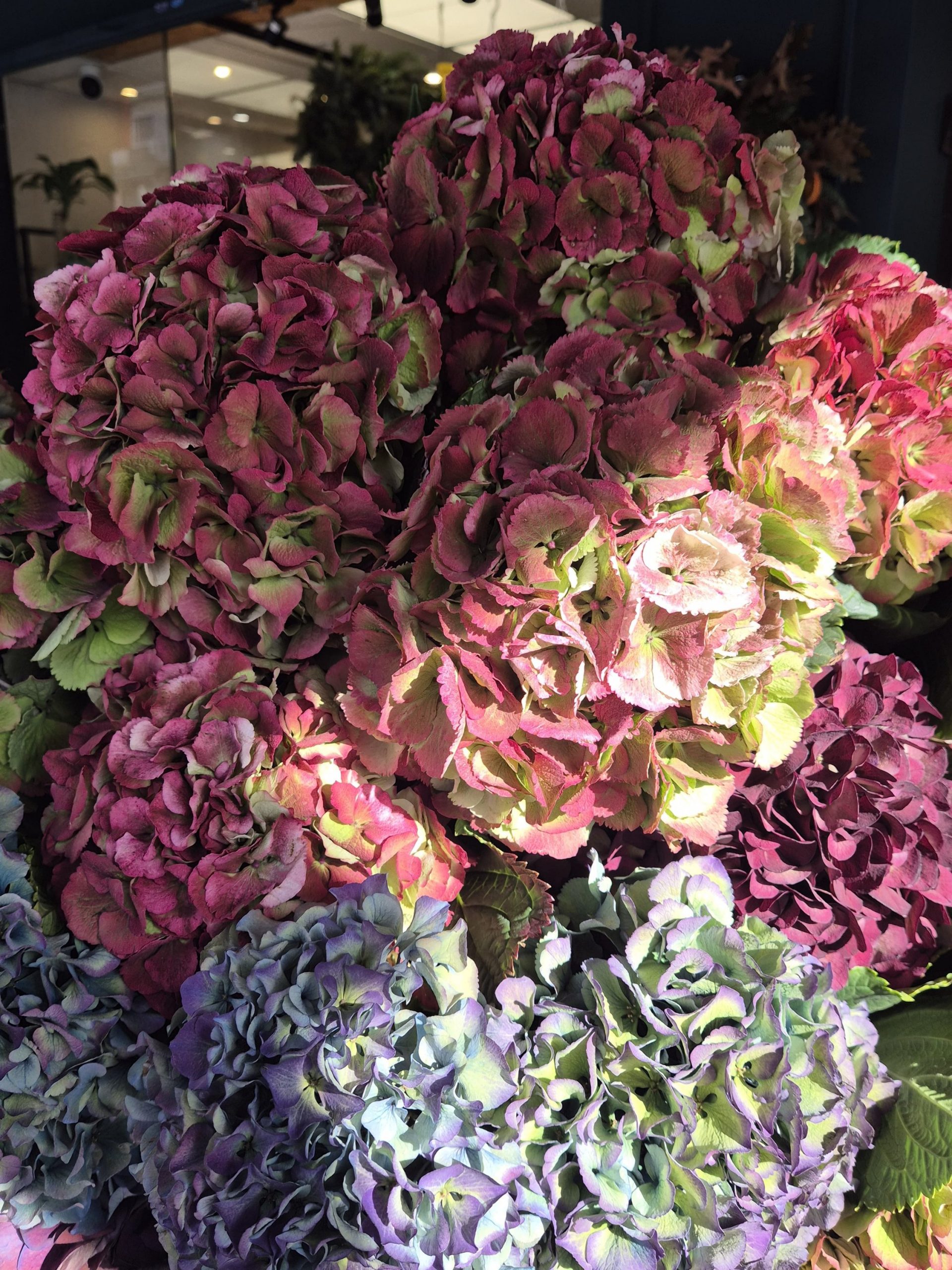 Ramo 4 Hortensias de temporada - Imagen 7