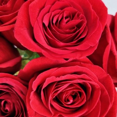 Ramo 14 Rosas rojas y ferrero