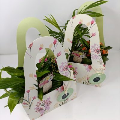 Bolsa 2 plantas