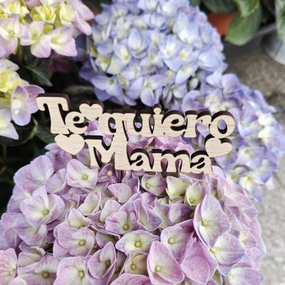 Pick te quiero mamá